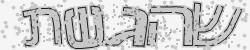 BotDetect CAPTCHA Hebrew CAPTCHA Image screenshot