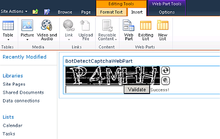 SharePoint CAPTCHA screenshot: Final